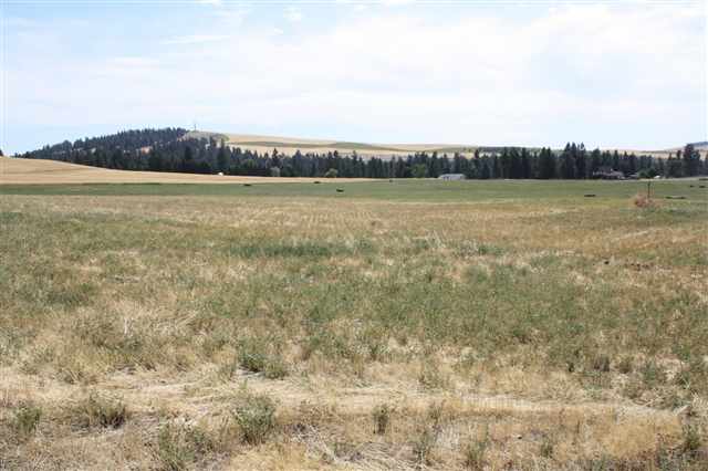 15930 West Silver Lake Road Cheney, WA 99004 - Photo 5 of 9 Gallery Image 5