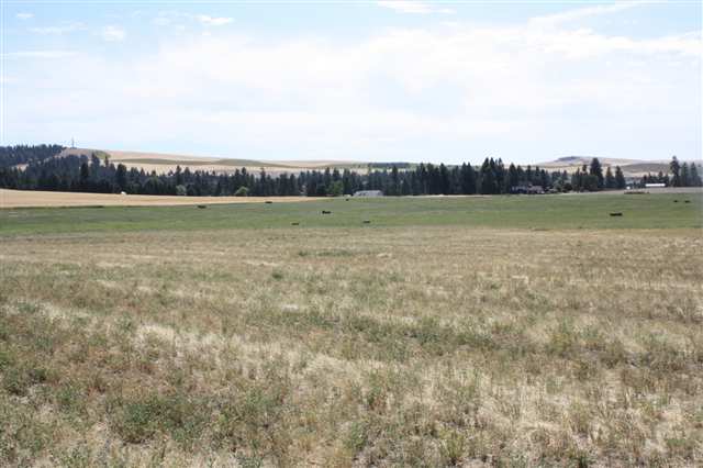 15930 West Silver Lake Road Cheney, WA 99004 - Photo 9 of 9 Gallery Image 9