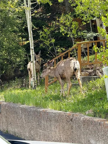 $819,999 | 132 Burgundy Circle, Silverthorne, CO 80498