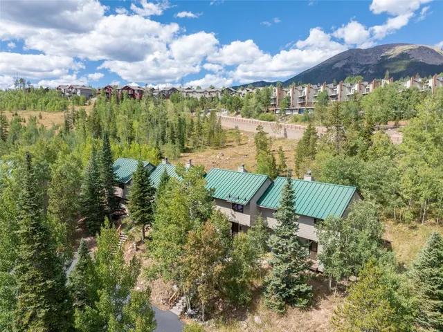 $819,999 | 132 Burgundy Circle, Silverthorne, CO 80498