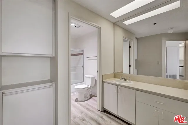 a bathroom with a sink a toilet and a large mirror