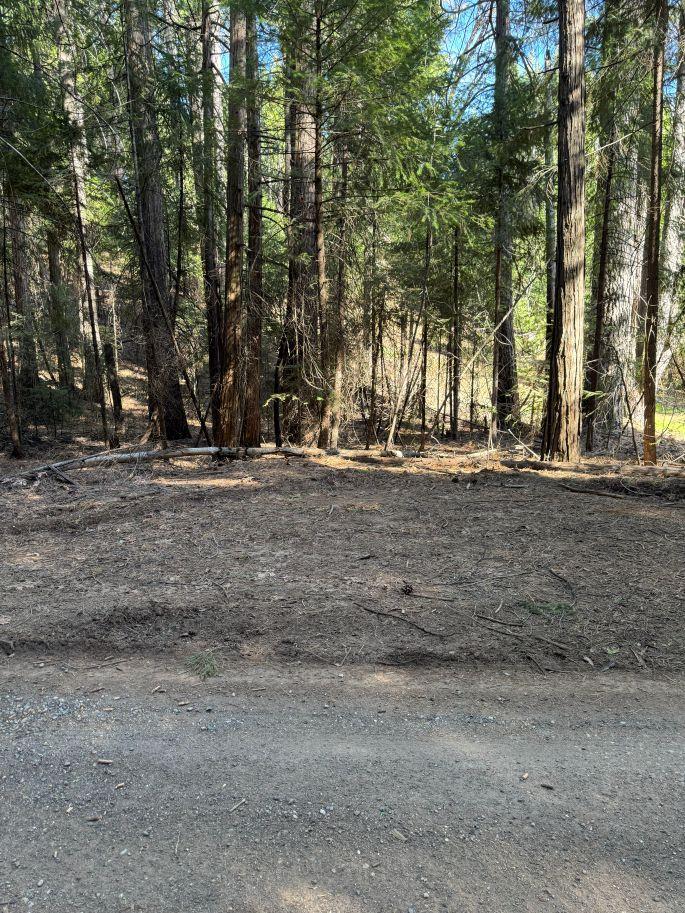 0 Caine Road Alta, CA 95701 - Photo 1 of 10 a view of a out door of the house
