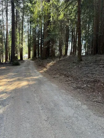 a view of road with trees