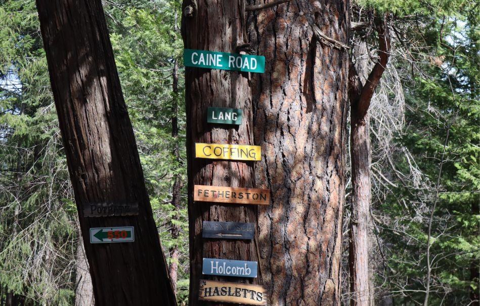 0 Caine Road Alta, CA 95701 - Photo 10 of 10 front view of a house with a tree