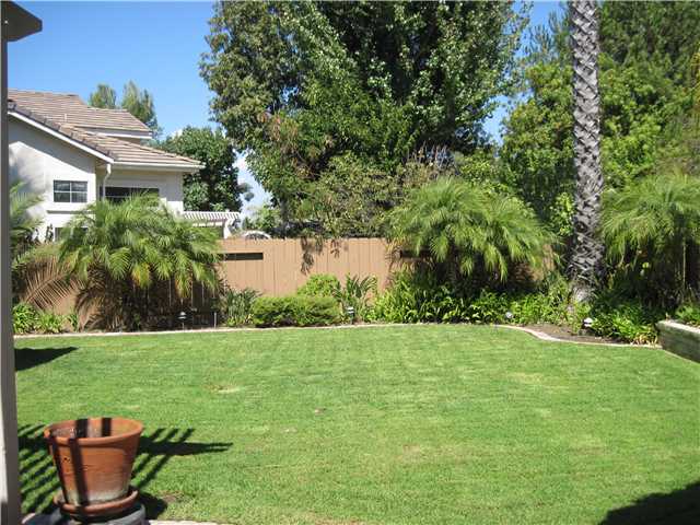 4824 Baroque Terrace Oceanside, CA 92057 - Photo 9 of 24 Lush green lawn in the back yard.