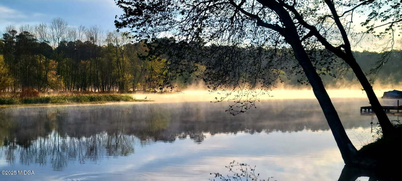 532 Henry Higgins Road Jackson, GA 30233 - Photo 3 of 43 a view of a lake view