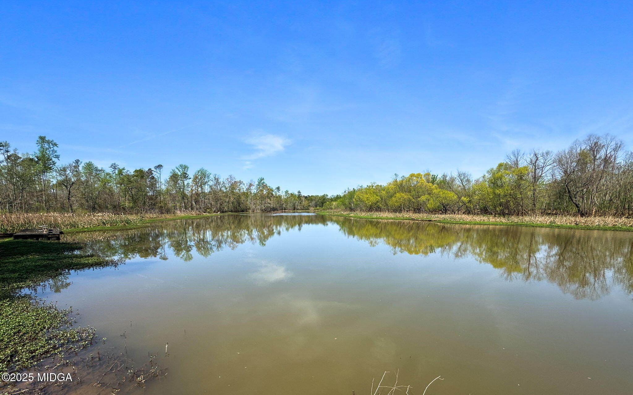 532 Henry Higgins Road Jackson, GA 30233 - Photo 33 of 43 a view of lake