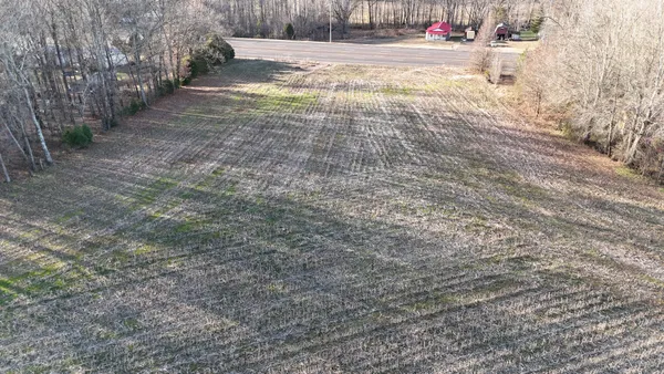 a view of a yard with trees
