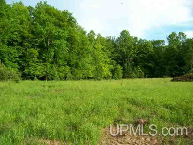 Tbd Johnson Road Sagola, MI 49881 - Photo 3 of 6