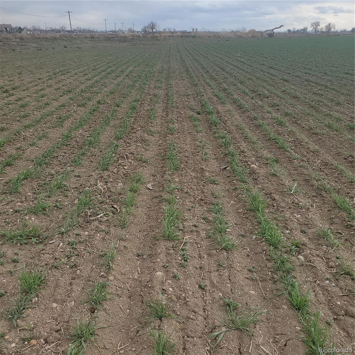 Fulton Street Brighton, CO 80601 - Photo 3 of 8 a view of an ocean beach