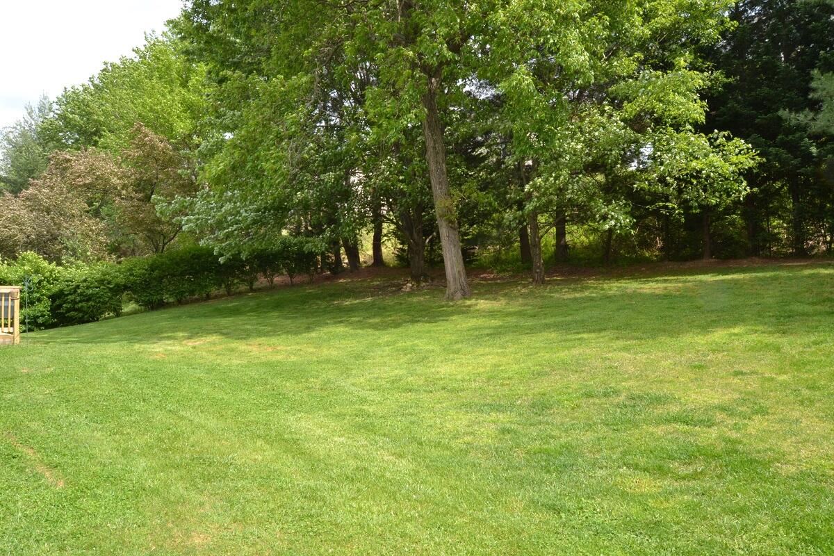1664 Millbridge Road Salem, VA 24153 - Photo 6 of 26 6 Back Yard