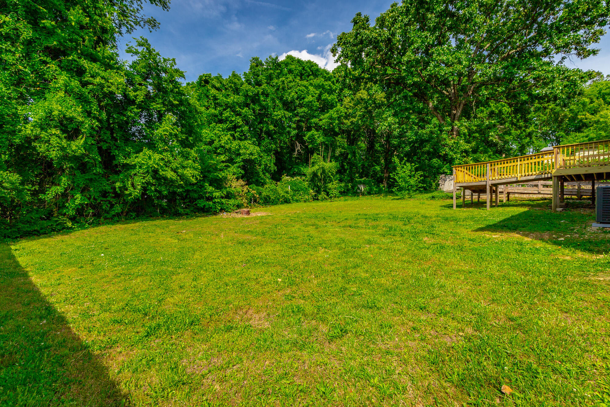 9050 Wooten Road Chattanooga, TN 37416 - Photo 45 of 48 Backyard