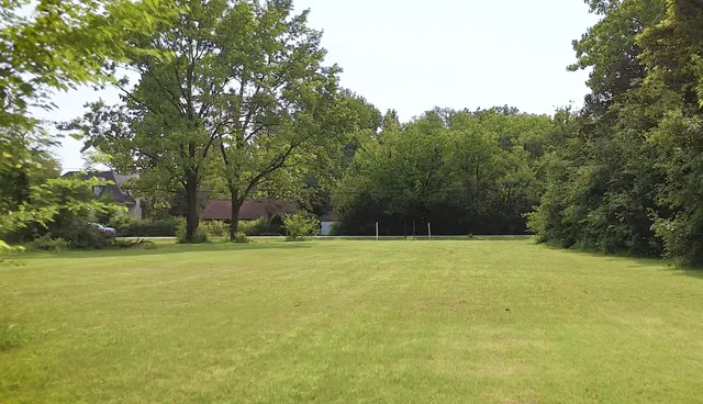 a view of a field with trees in the background