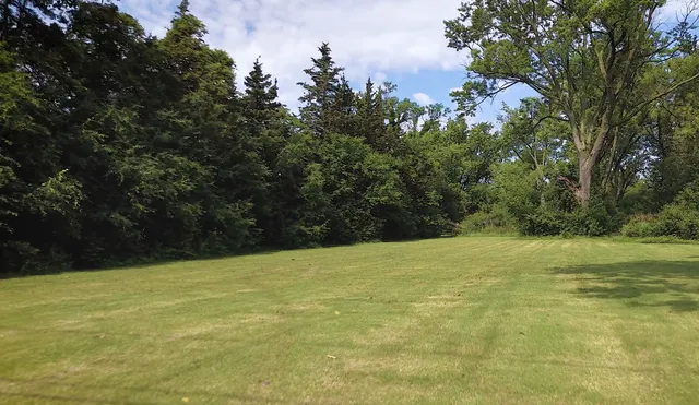 a view of a yard with a trees