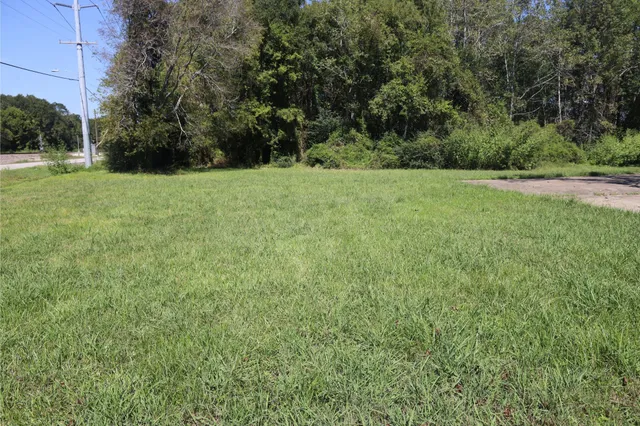 a view of a green field with trees