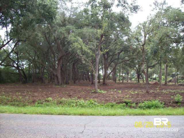 0 South County Road 49 South Foley, AL 36535 - Photo 1 of 4