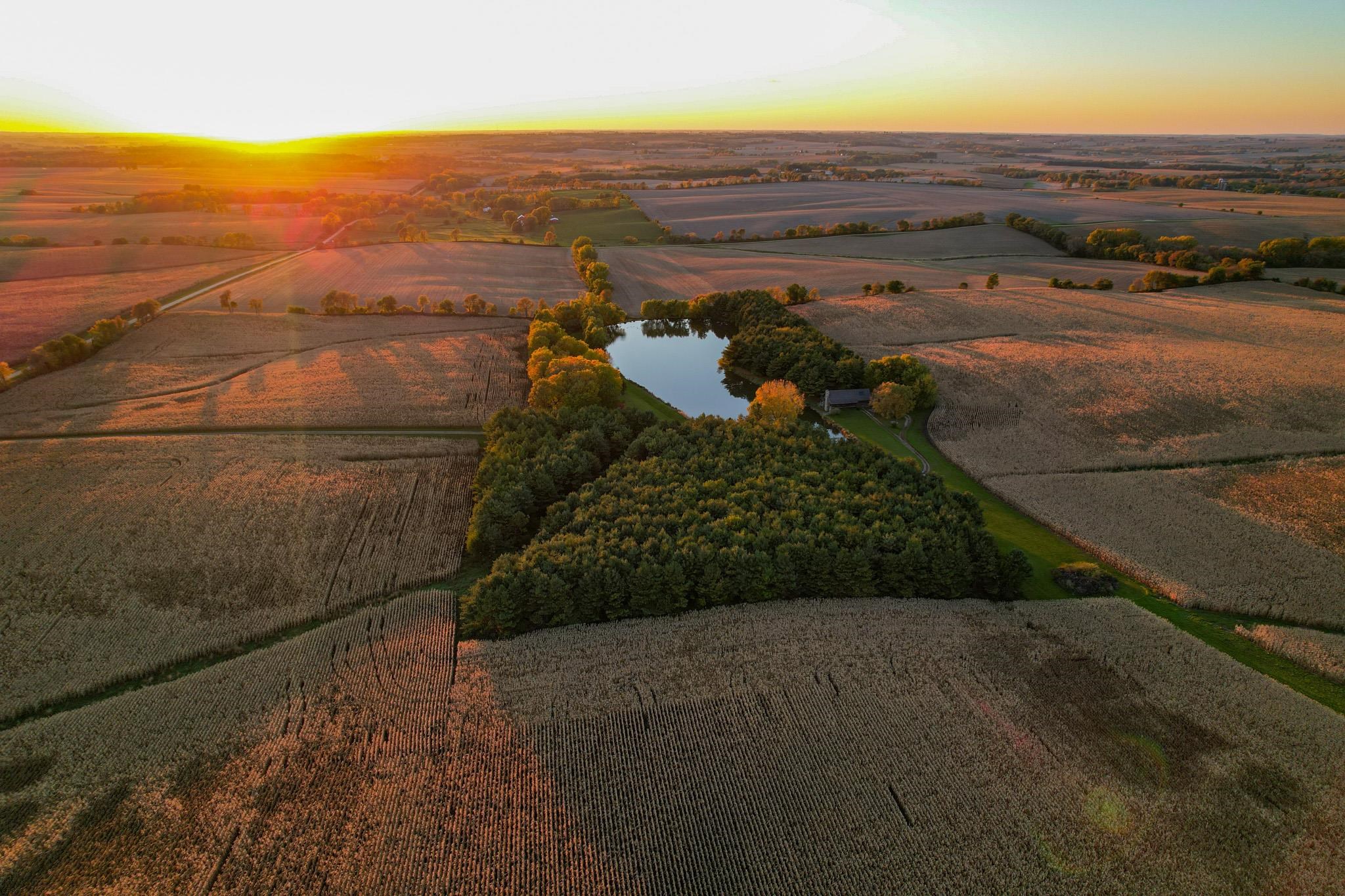 13582 West Springdale Road Forreston, IL 61030 - Photo 6 of 77