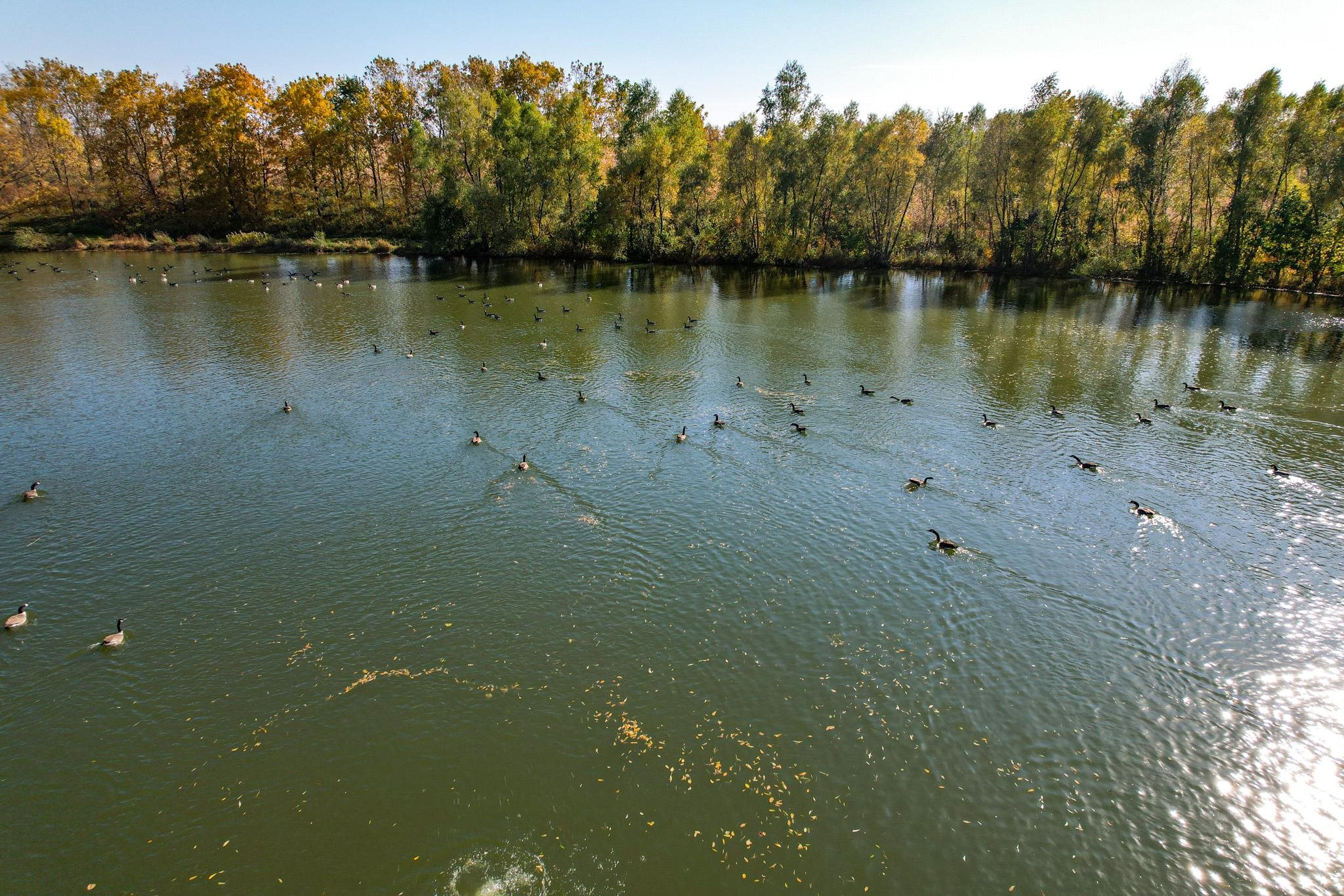 13582 West Springdale Road Forreston, IL 61030 - Photo 69 of 77 a view of a lake with a trees