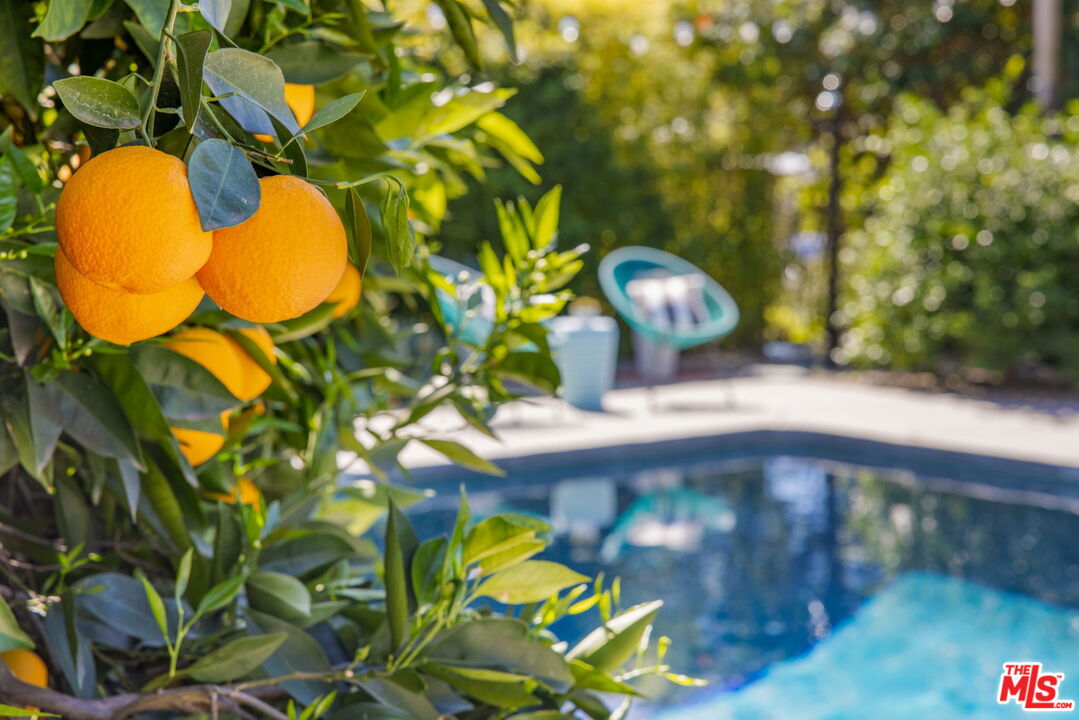 970 West Lehigh Street Altadena, CA 91001 - Photo 26 of 33 a view of a flower in a garden
