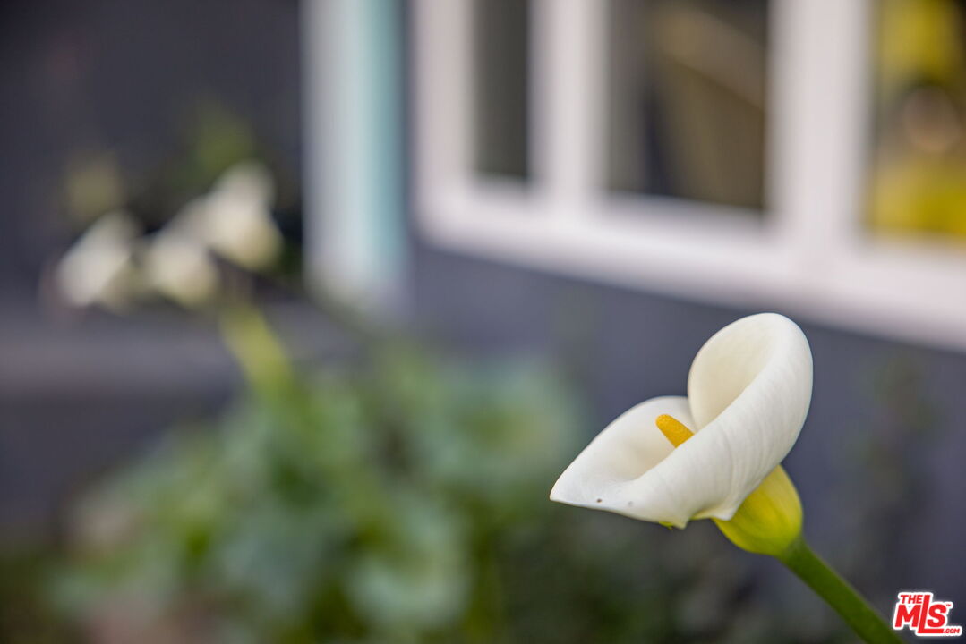 970 West Lehigh Street Altadena, CA 91001 - Photo 3 of 33 a view of a swimming pool with a yard and sitting space