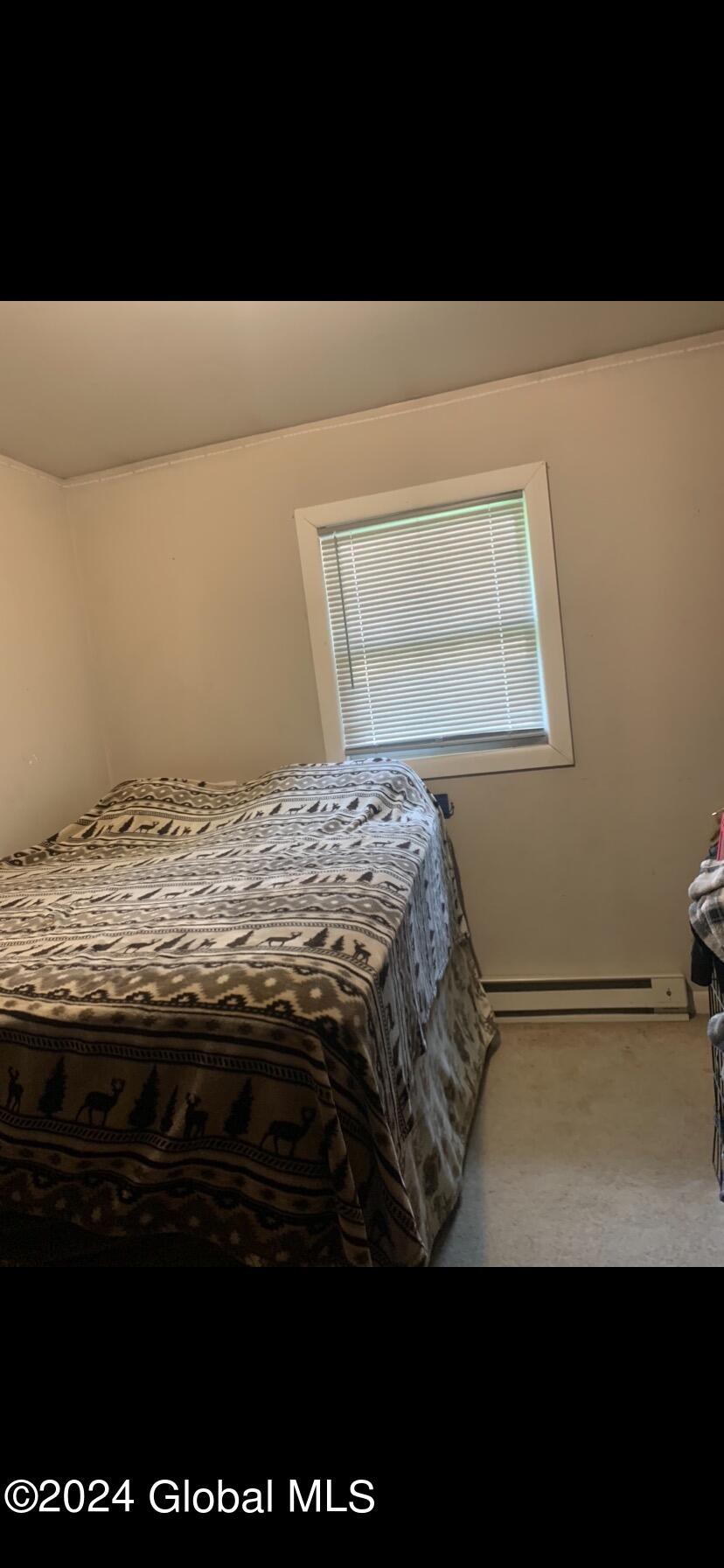 81 Rathbunville Lane Whitehall, NY 12887 - Photo 15 of 35 IMG_1616