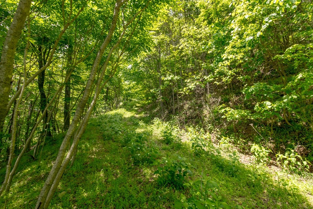 Cc Spring Pond Trail, Unit CC Fancy Gap, VA 24328 - Photo 20 of 46 Gallery Image 20
