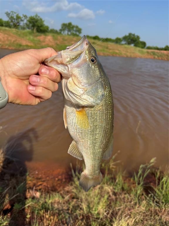1413 Bell Plains Road Abilene, TX 79606 - Photo 27 of 32