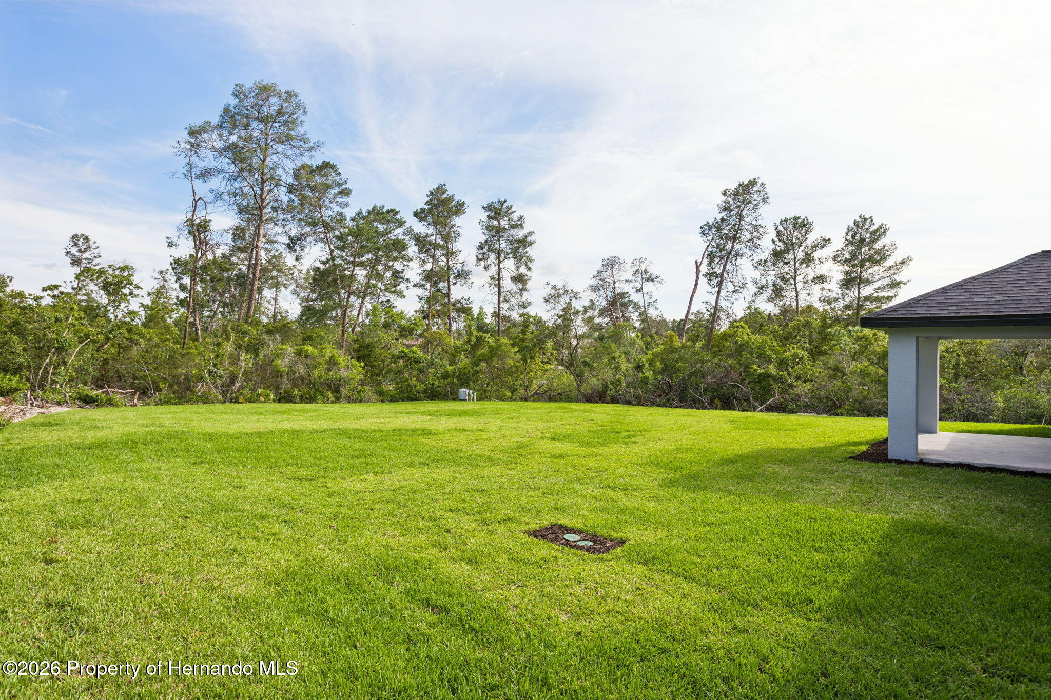 9412 Noddy Tern Road Weeki Wachee, FL 34613 - Photo 25 of 37 25-web-or-mls-9412-noddy-tern-rd