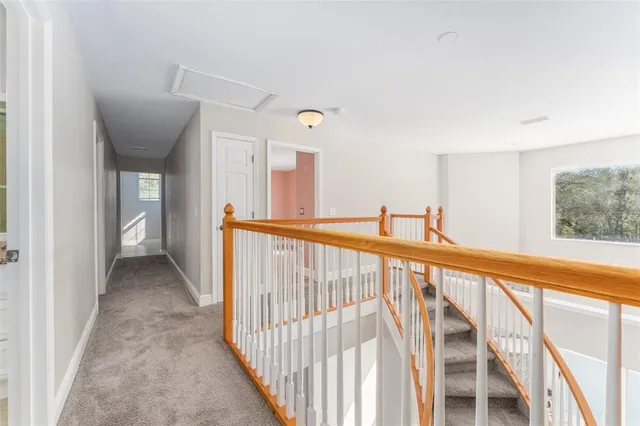 $3,800 | 11302 Hoot Owl Court, Riverview, FL 33569