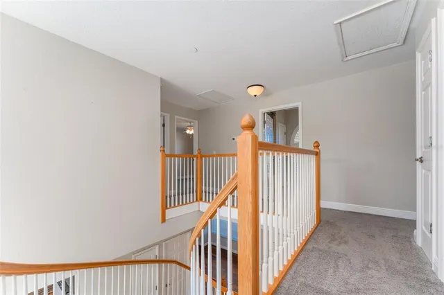 $3,800 | 11302 Hoot Owl Court, Riverview, FL 33569