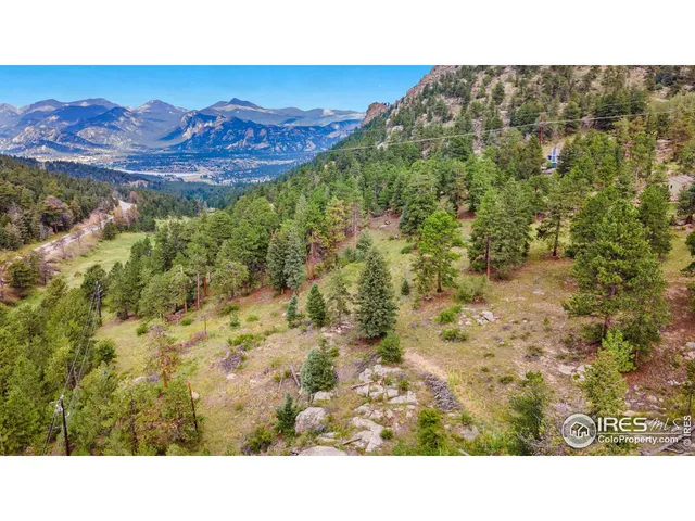 a view of a lush green space