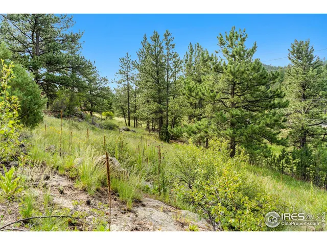 a view of outdoor space and covered with trees