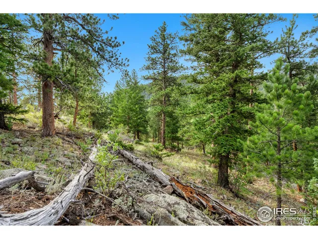 a view of a green yard