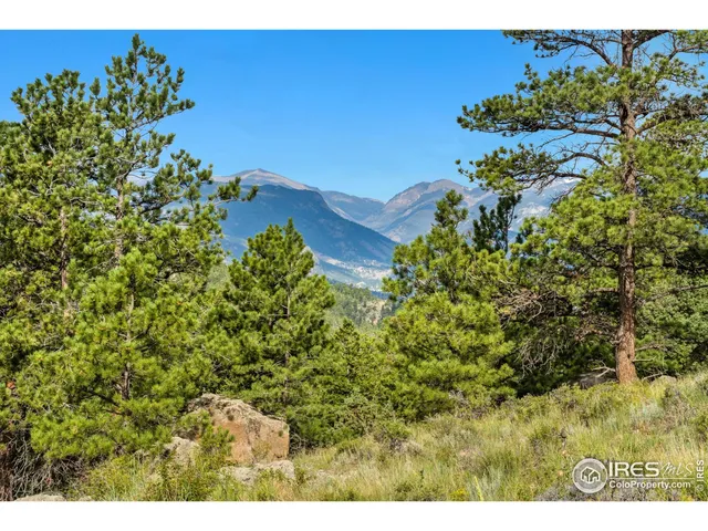 a view of a bunch of trees and bushes