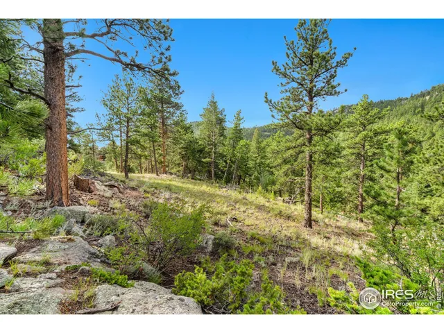 a view of a green yard