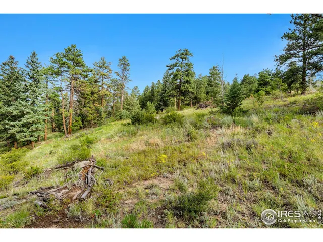 a view of a green field