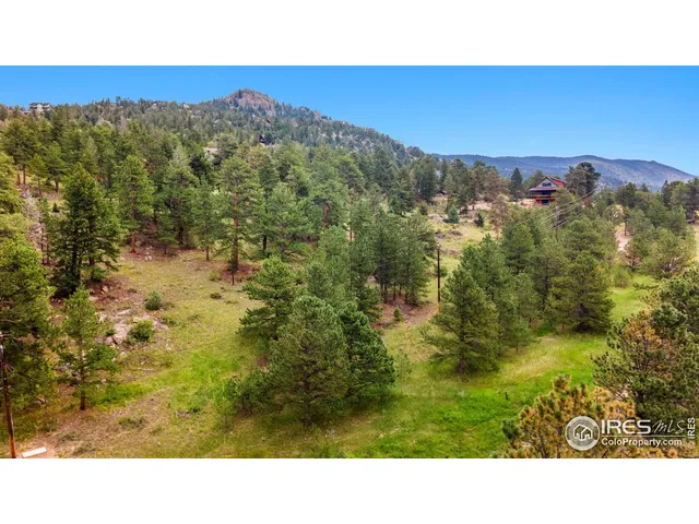 a black and white photo of a field