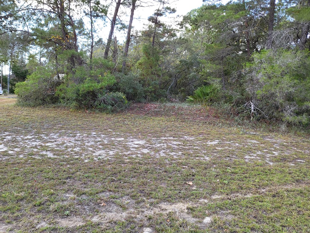 2053 Lighthouse Road Carrabelle, FL 32322 - Photo 28 of 38 Gallery Image 28