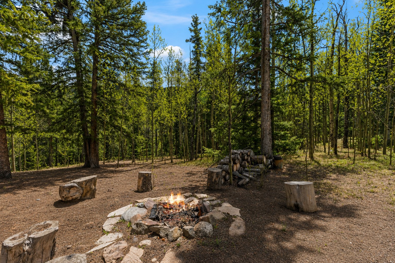 366 Quartzville Road Alma, CO 80420 - Photo 24 of 29 low maintenance yard