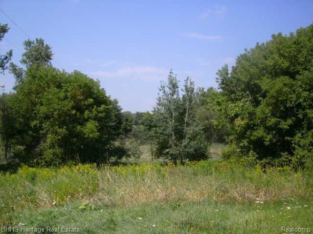 5495 Van Orden Road Webberville, MI 48892 - Photo 14 of 18 020.JPG