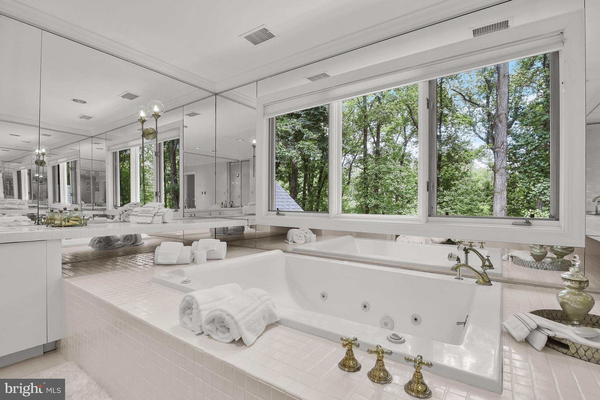 4240 Blue Barrow Ride Ellicott City, MD 21042 - Photo 50 of 86 Soaking Tub