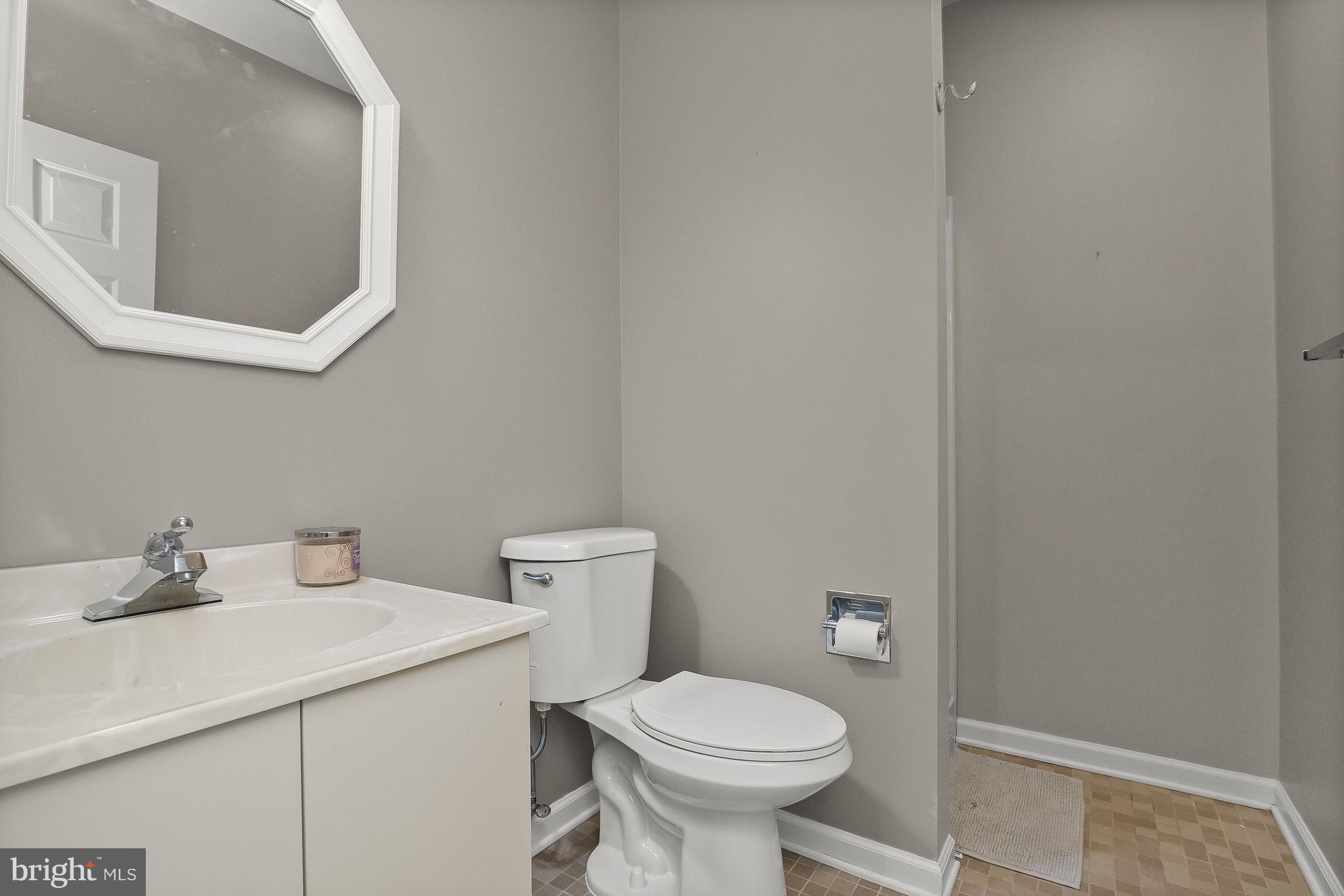 4240 Blue Barrow Ride Ellicott City, MD 21042 - Photo 67 of 86 Full Bath Lower LVL