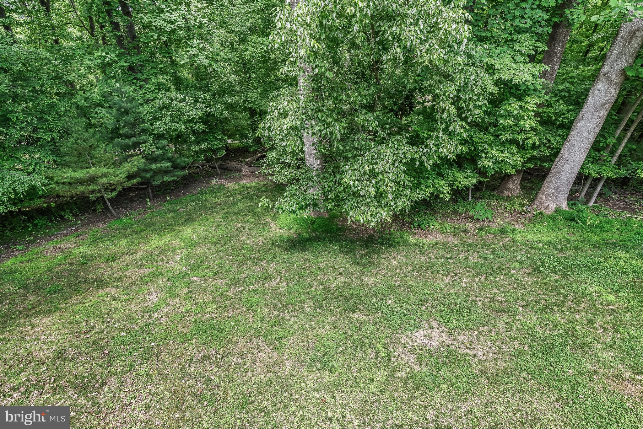 4240 Blue Barrow Ride Ellicott City, MD 21042 - Photo 70 of 86 Side Yard