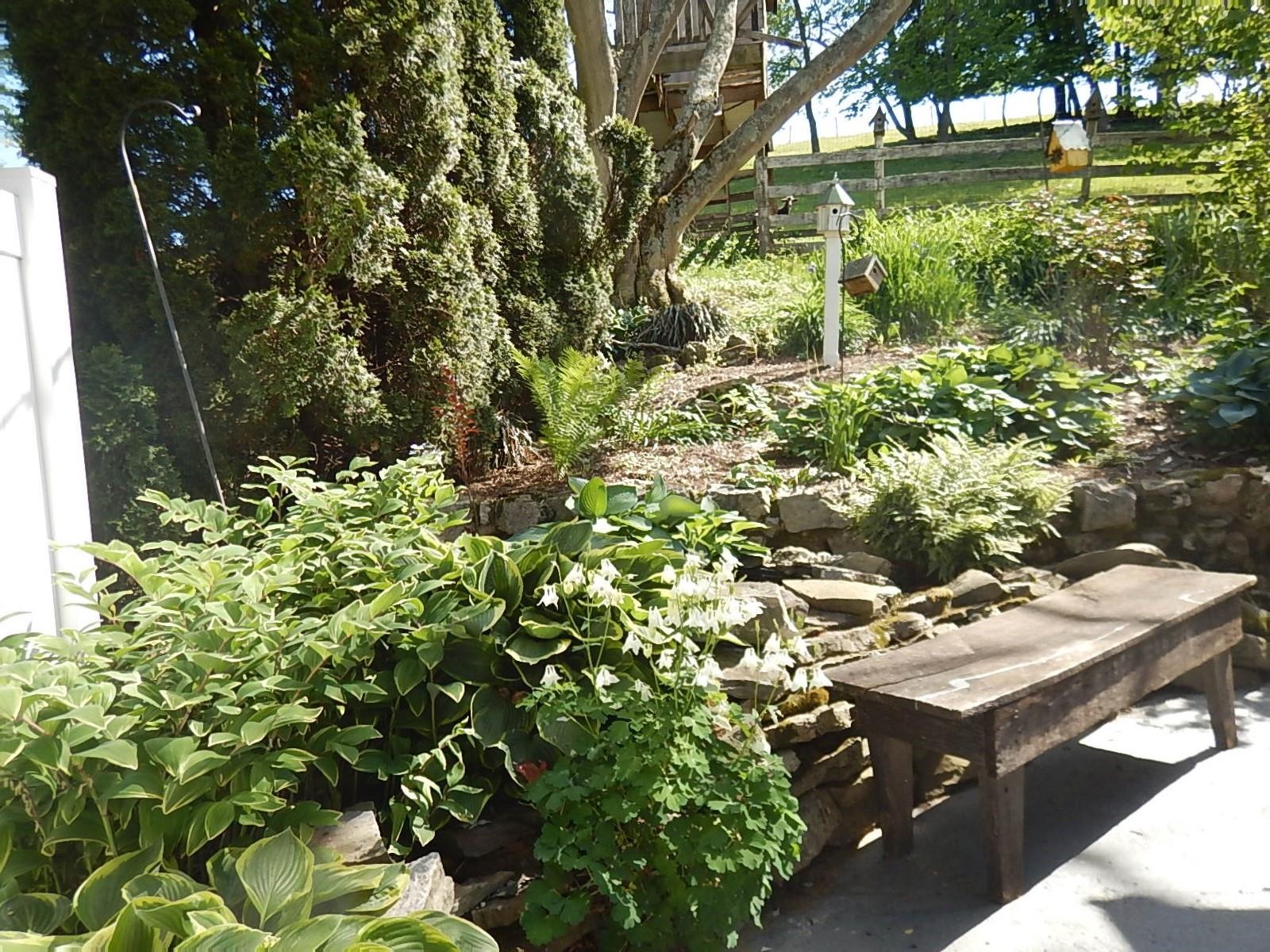 1312 Raphine Road Raphine, VA 24472 - Photo 25 of 30 a view of a yard with plants