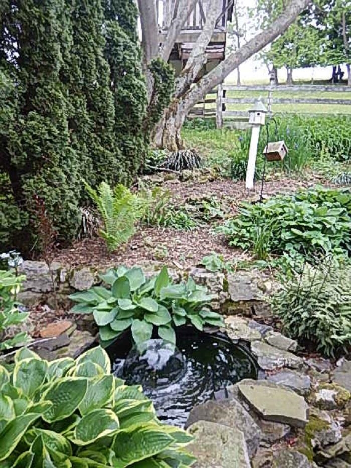 1312 Raphine Road Raphine, VA 24472 - Photo 30 of 30 a garden with lots of plants and trees