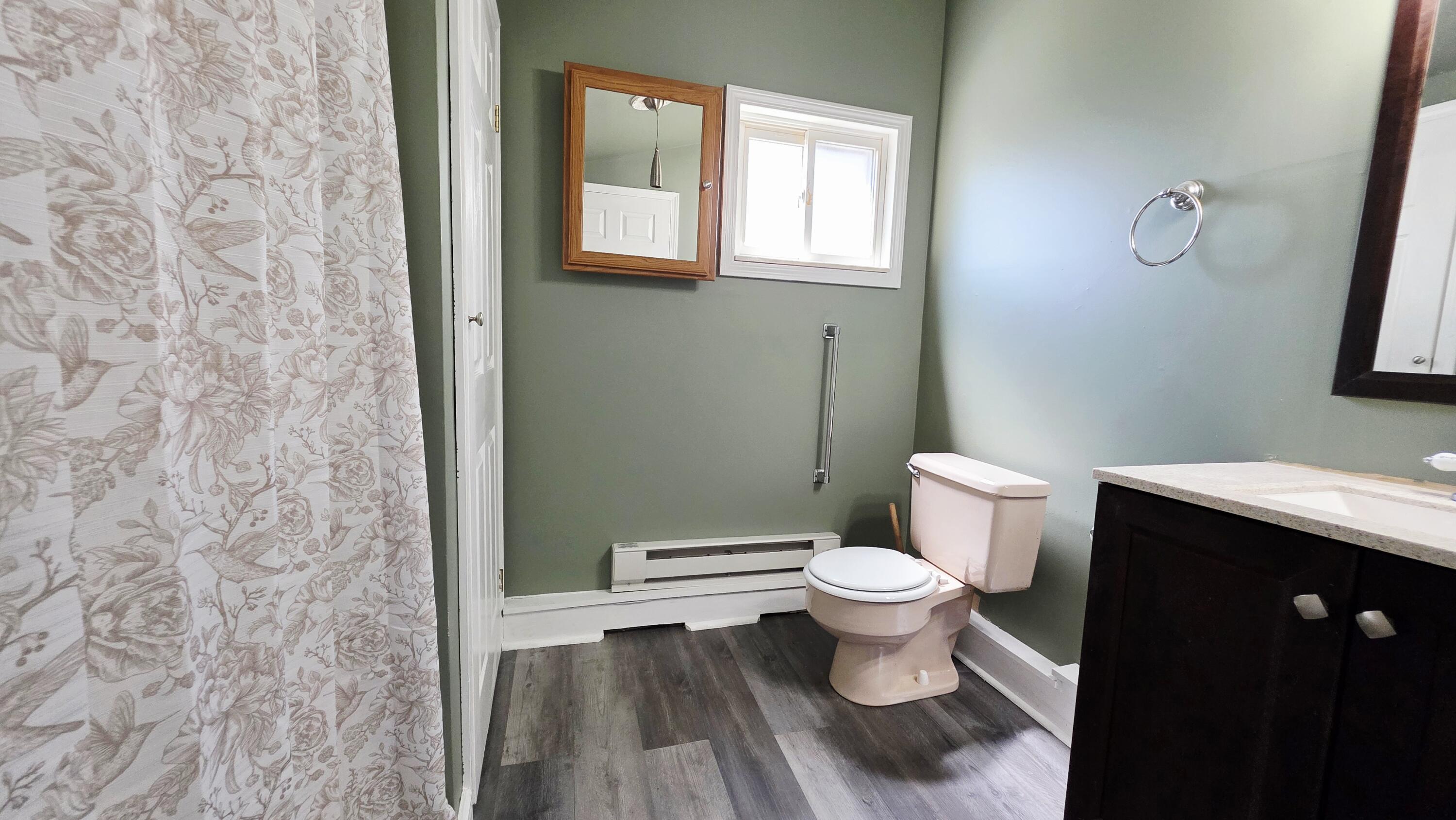 321 South 4th Street Edmore, MI 48829 - Photo 12 of 27 20260423_123549