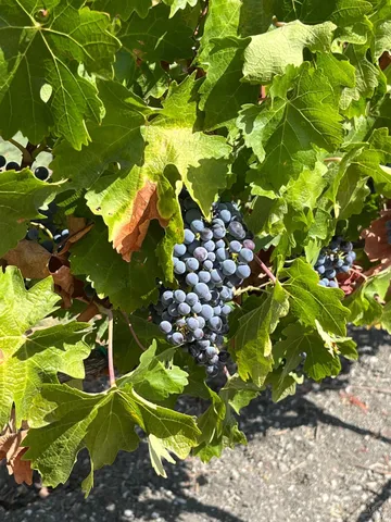 $3,850,000 | 4060 Monticello Road, Napa, CA 94558