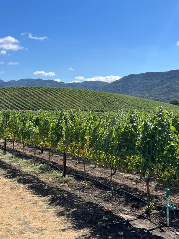 $3,850,000 | 4060 Monticello Road, Napa, CA 94558