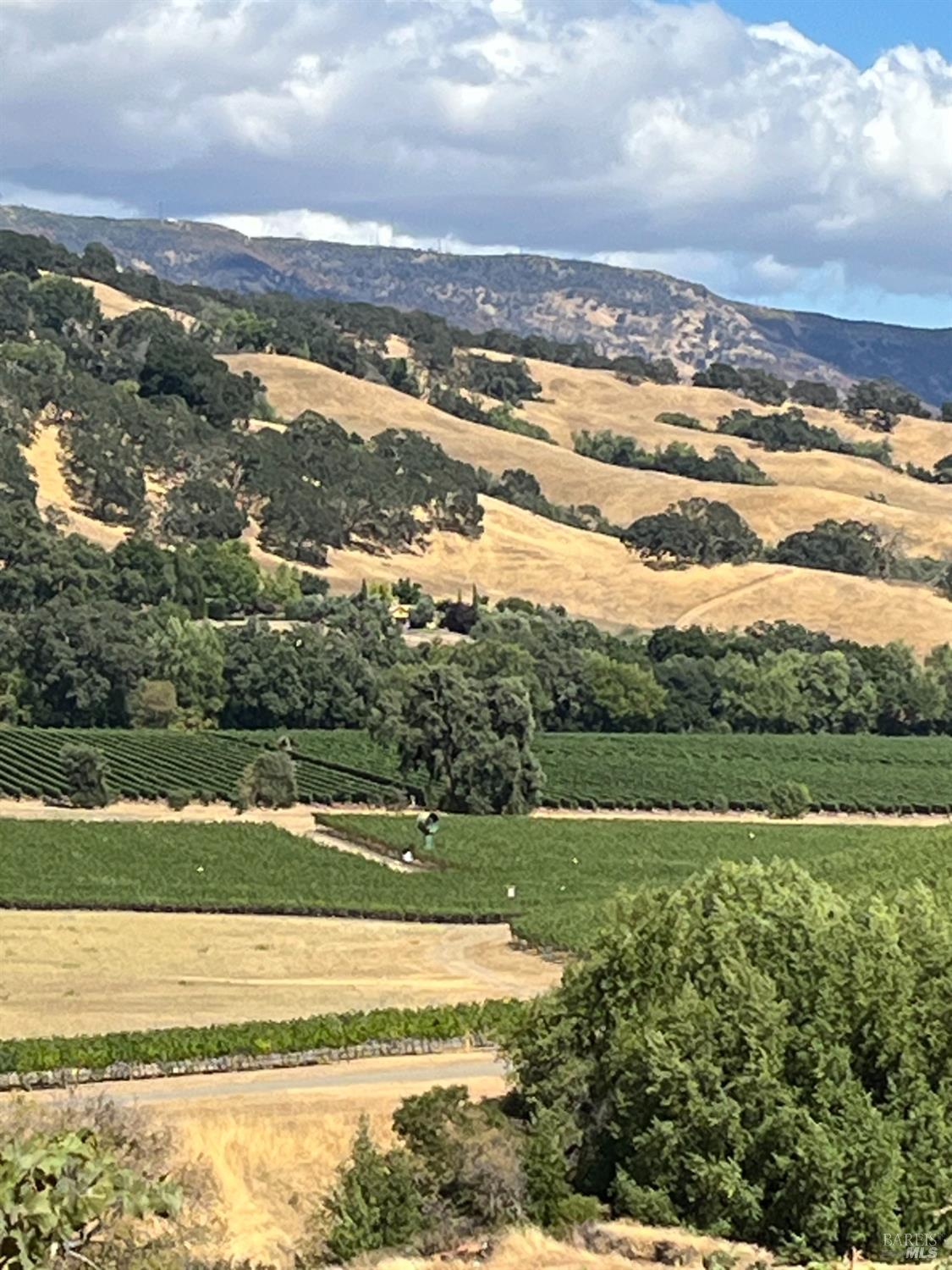 4060 Monticello Road Napa, CA 94558 - Photo 14 of 54 a view of a city with an ocean