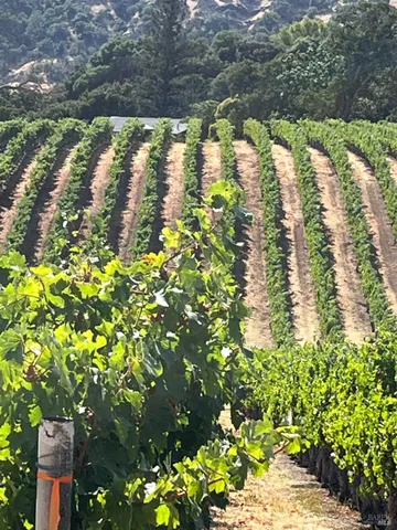 $3,850,000 | 4060 Monticello Road, Napa, CA 94558